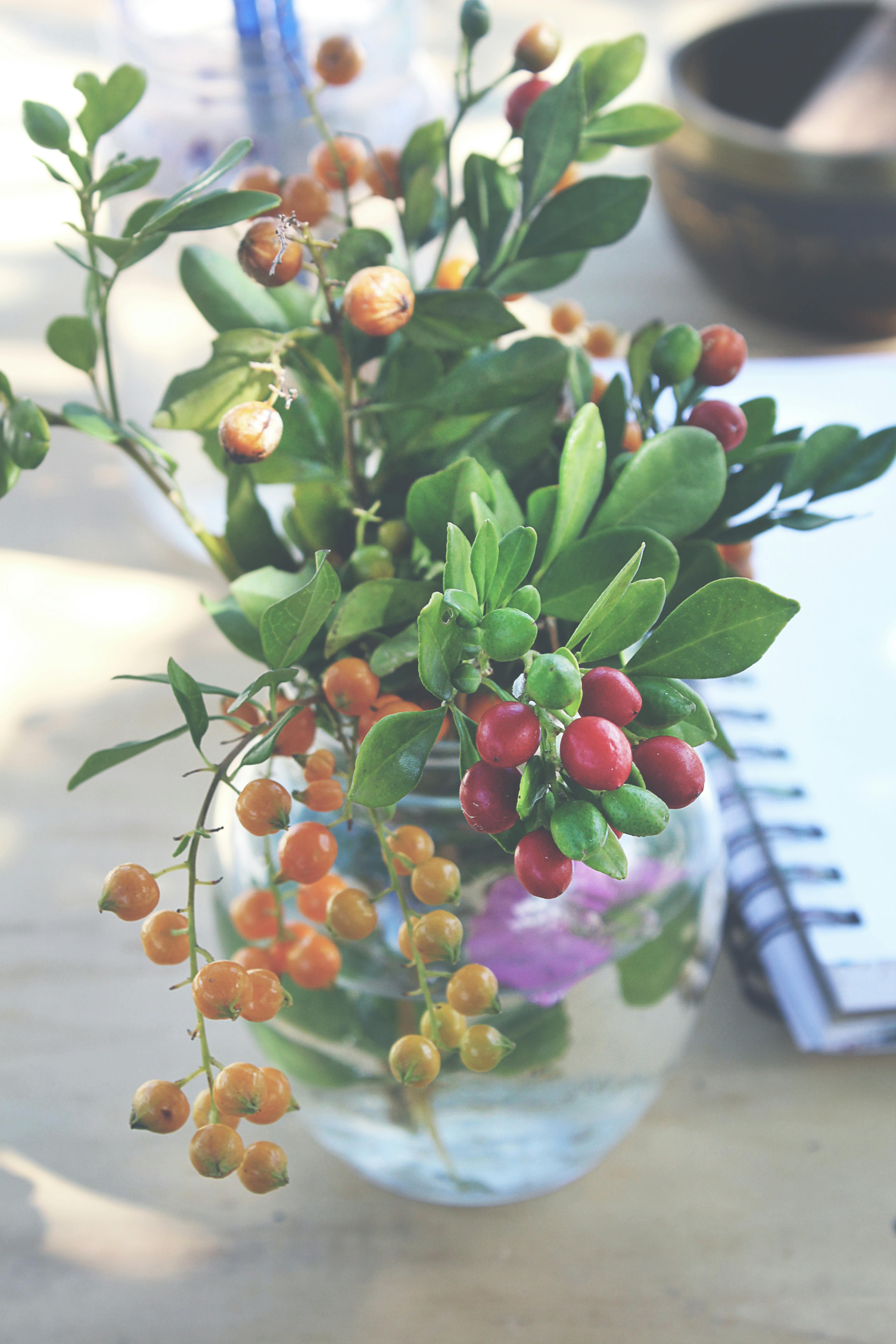 Shallow Depth Of Field Photography Of Plant In Glass Vase Free