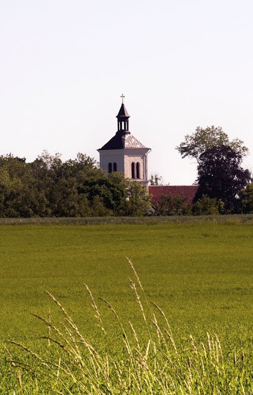 Fotos de stock gratuitas de arboles, campo verde, cristianismo