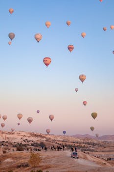 Image by Елена Мезенцева