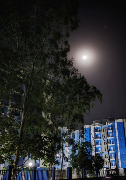 Free stock photo of full moon, moon, moonlight Stock Photo