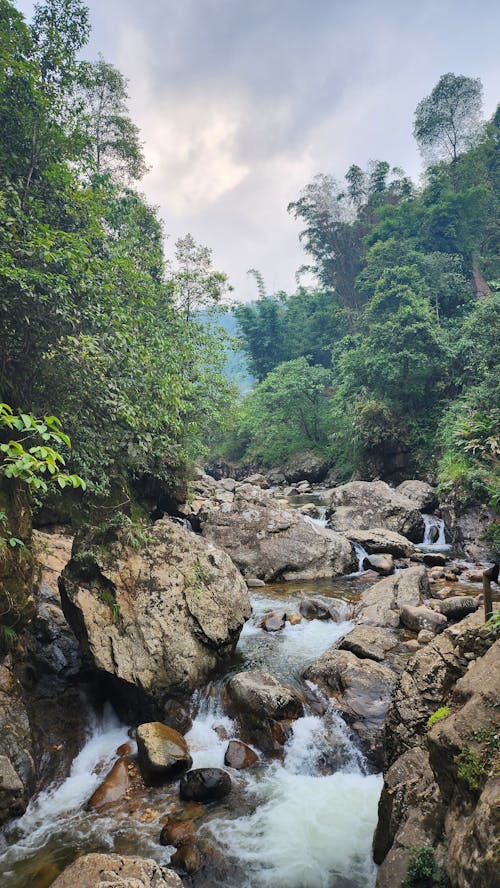 River in Summer