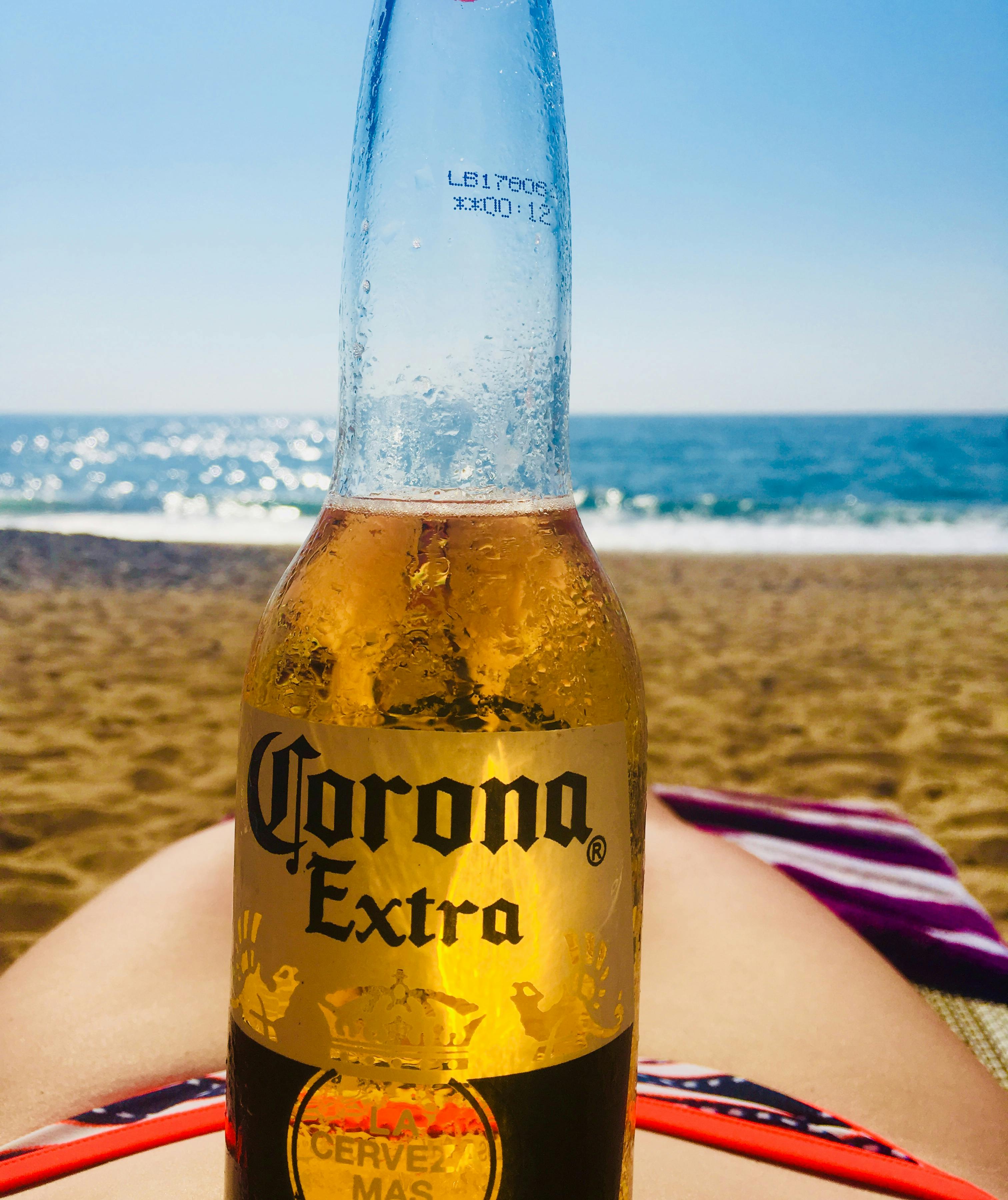 Free stock photo of beer and beach, Beer on stomach, corona beer