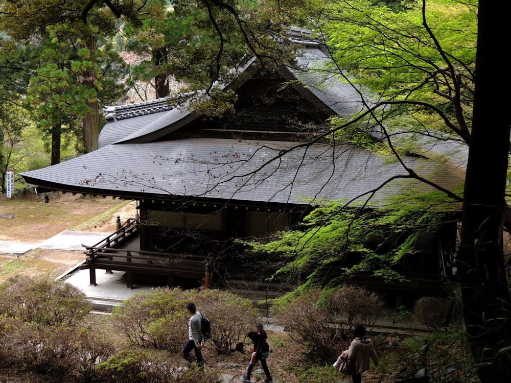 Free stock photo of temple hirokawadera Stock Photo