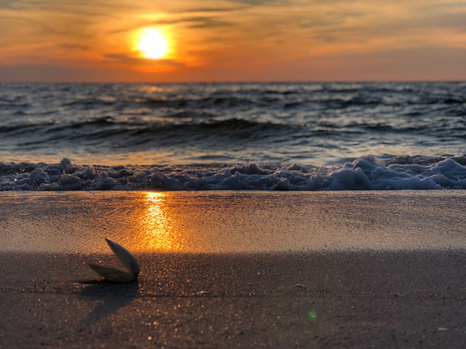 Photo of a seashore at golden hour on Boca Grande, Florida