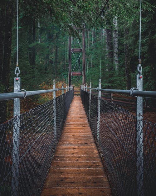 Kostnadsfri bild av bro, gångbro, oregon