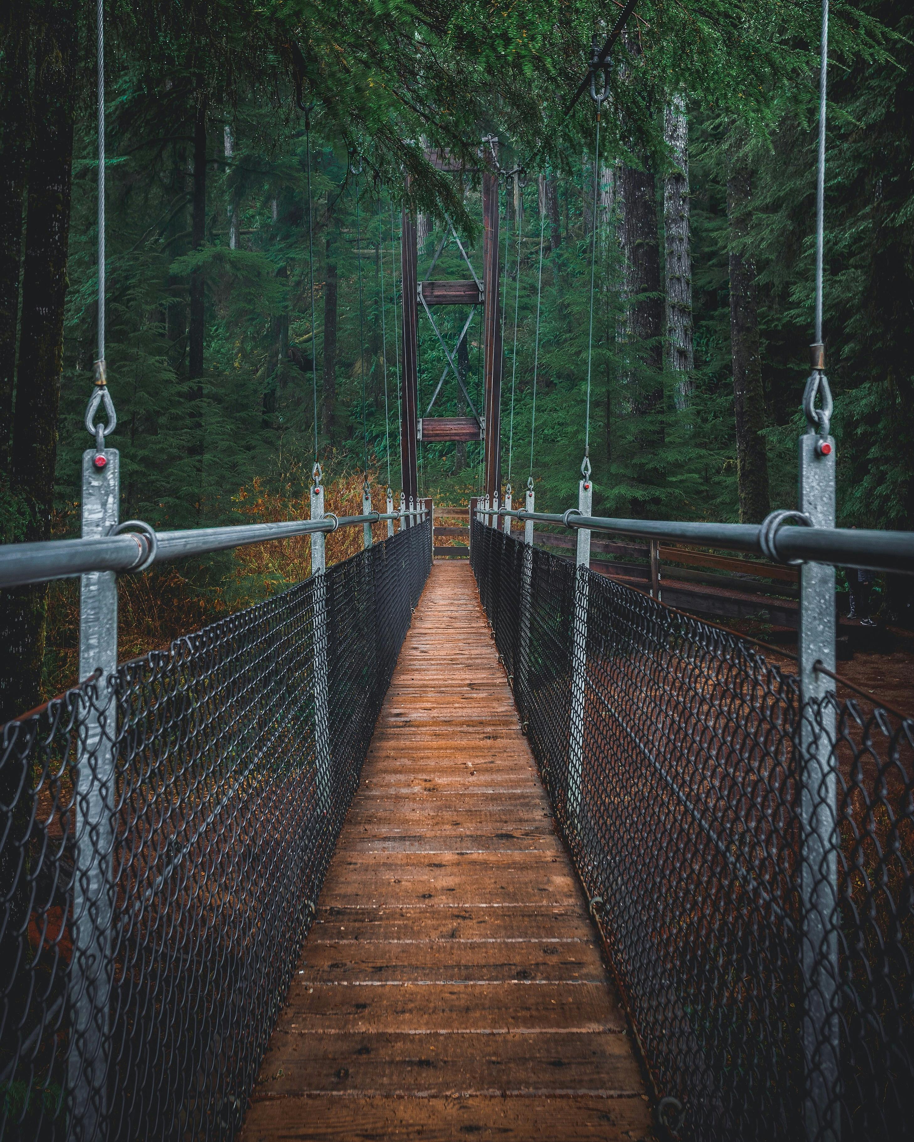 Terkeren 19+ Wallpaper Daun Jembatan - Joen Wallpaper