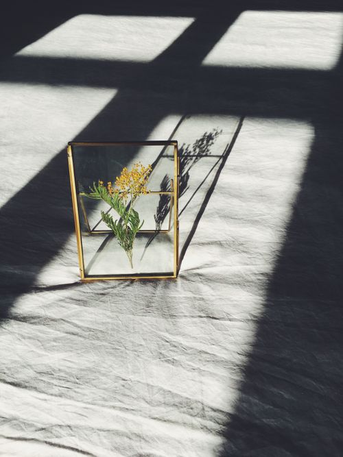 Free A minimalist display of a yellow flower preserved in a glass frame casting a shadow on textured bed sheets. Stock Photo