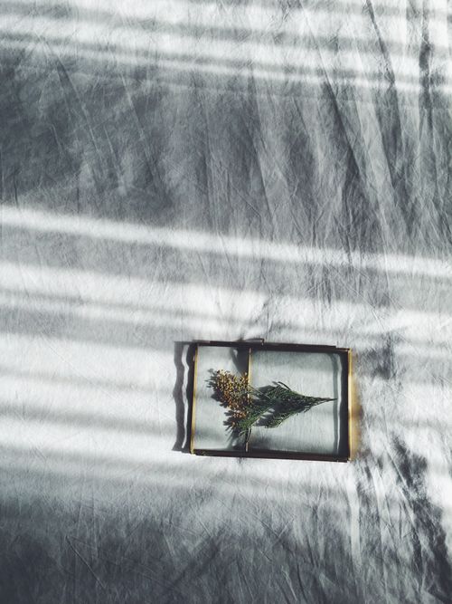 Free A creative flat lay of dried flowers in a glass box with striking sunlight patterns. Stock Photo