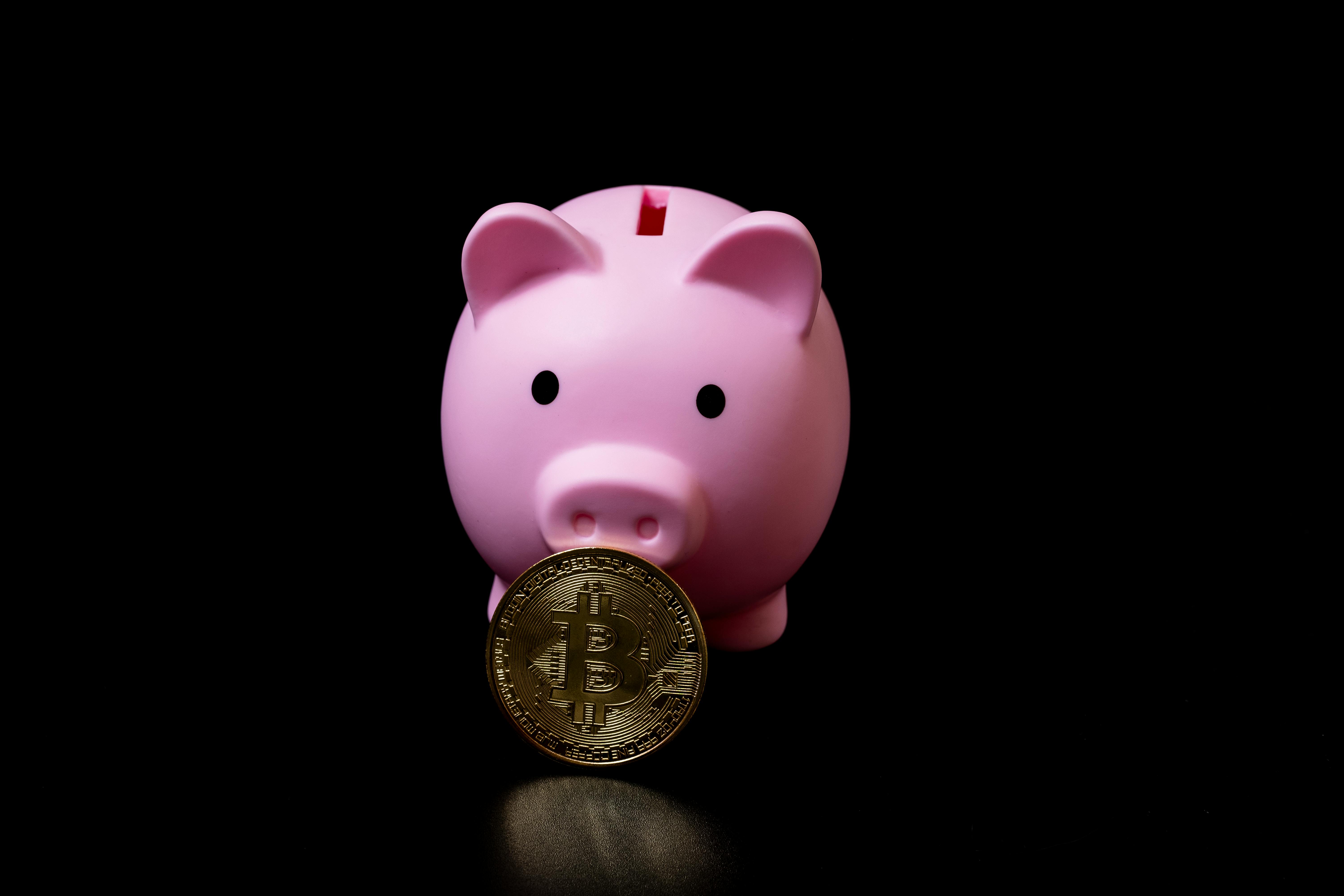 Golden bitcoin with a pink piggy bank, on a black background. Investments  in cryptocurrency. How to safely save money. · Free Stock Photo