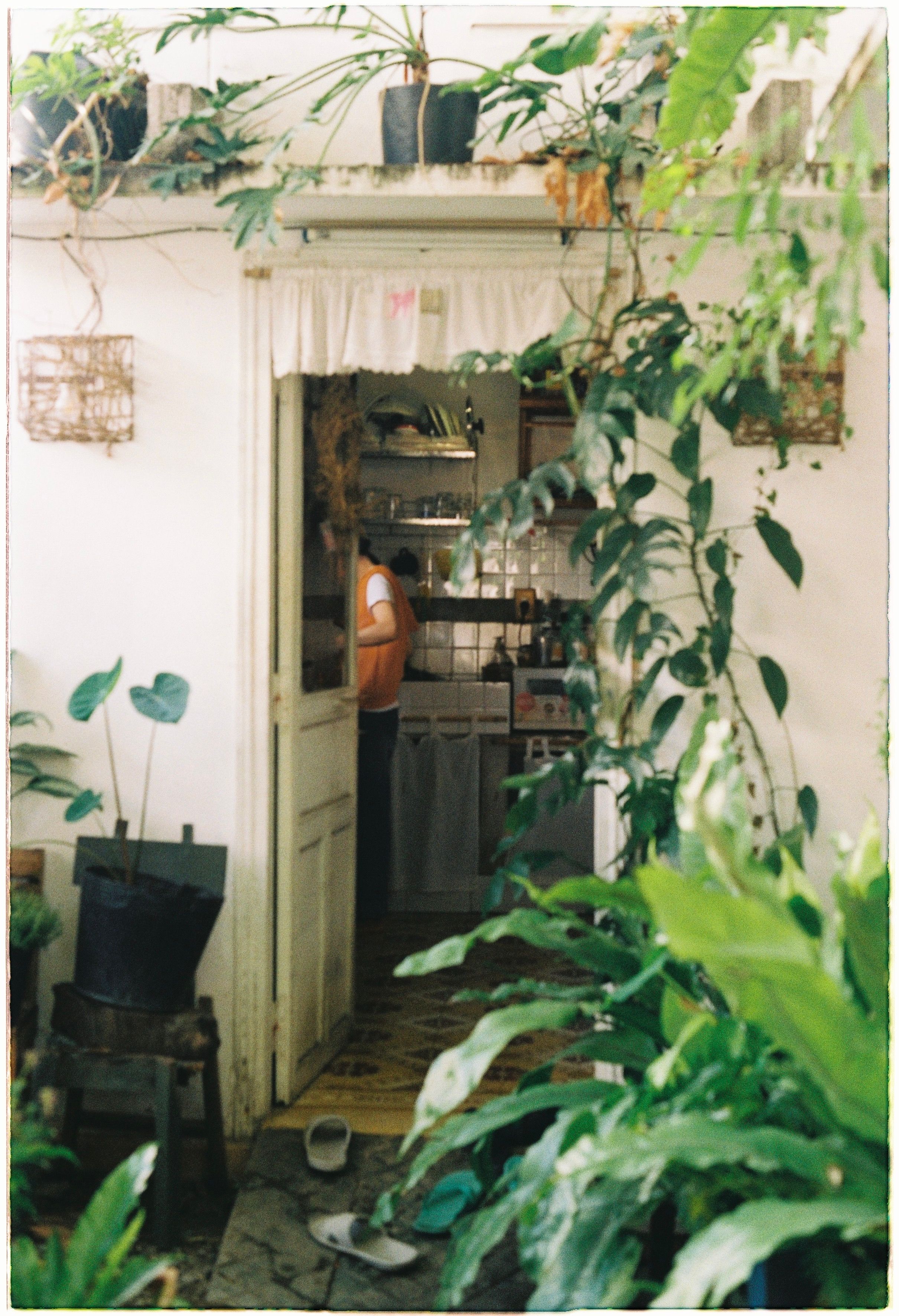 How to Create a Longevity-Focused Blue Zone at Home with 9 Key Habits