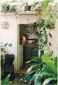 An inviting indoor space with lush plants framing a doorway into a cozy kitchen setting.