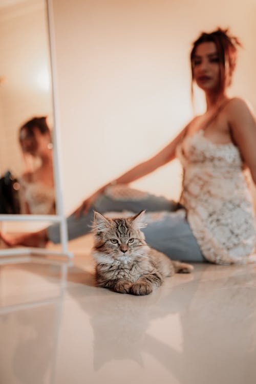 Kitten Lying on Ground in front of Woman