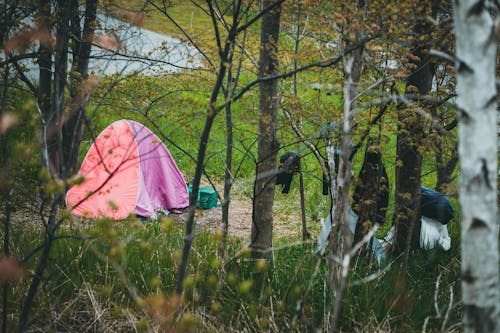 Kostnadsfri bild av camping, landskap, natur