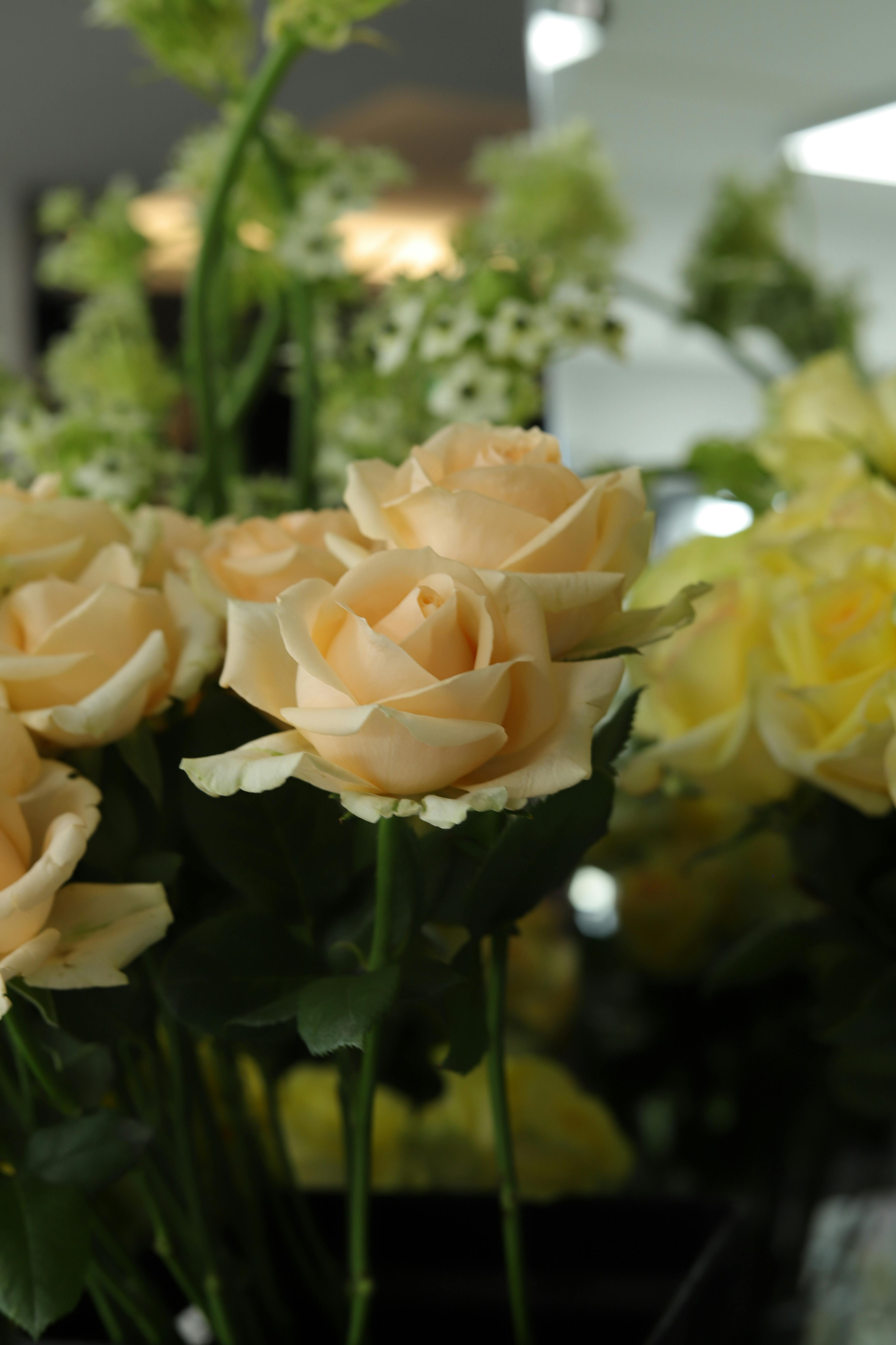 Andy Lee - Photography