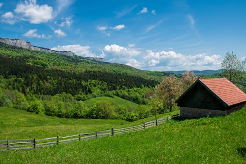 Kostnadsfri bild av bondgård, byggnad, grön