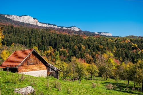 Village House near Forest in Autumn