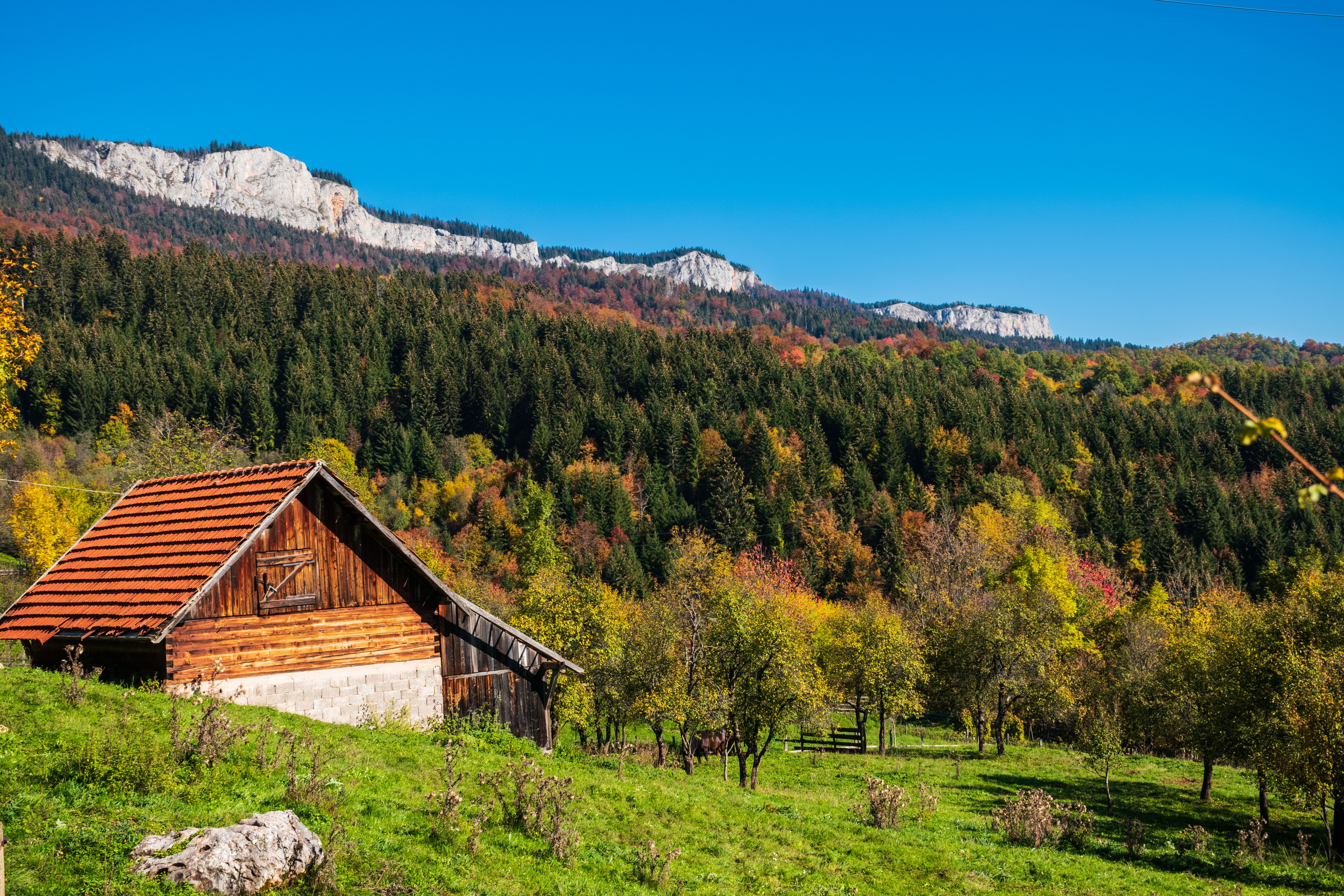 Village House near Forest in Autumn · Free Stock Photo