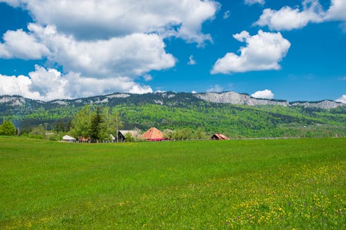 Darmowe zdjęcie z galerii z krajobraz, łąka, natura