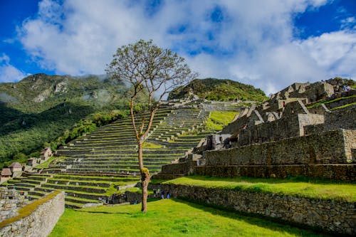 Ancient Inca Citadel under Blue Sky