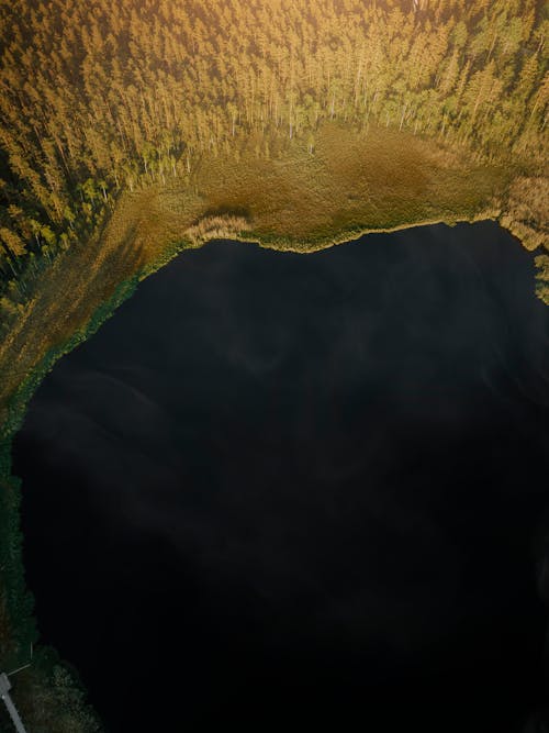 Foto profissional grátis de árvores, beira do lago, cenário