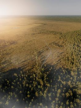 Aerial view capturing the vast and tranquil forested landscape in Kangari, Latvia during daytime.