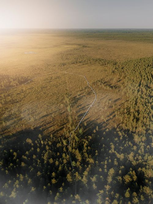 Free Aerial view capturing the vast and tranquil forested landscape in Kangari, Latvia during daytime. Stock Photo