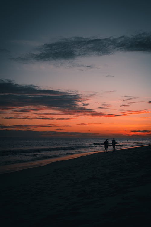 People Walking on Seashore on Scenic Sunset