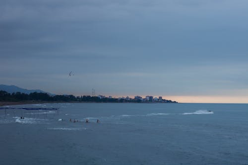 Free stock photo of beach, beach background, beach sunset