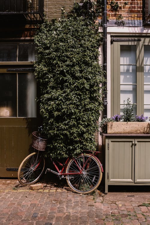 Immagine gratuita di bicicletta, casa, case