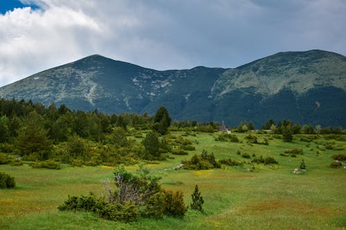 Green Lawn in Mountains Landscape