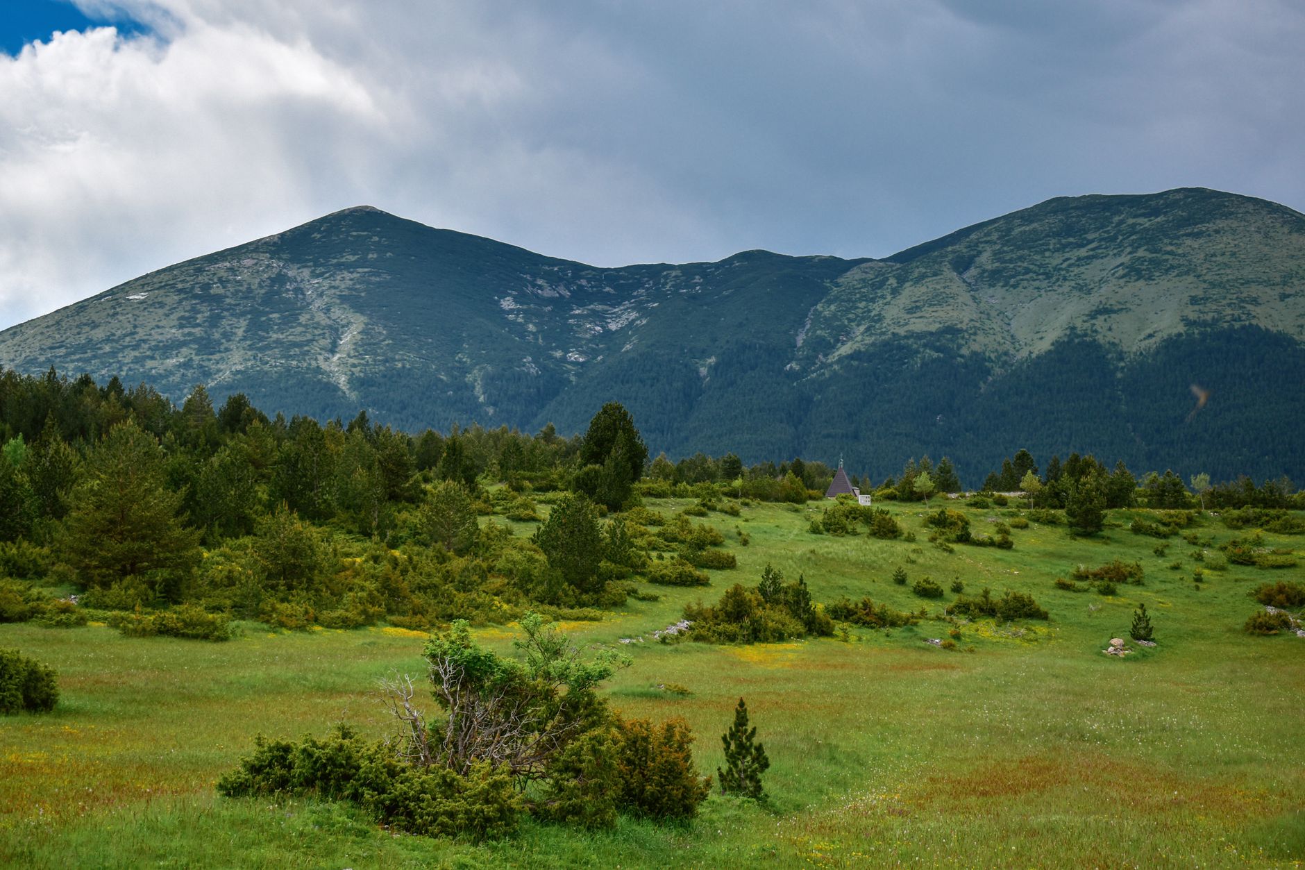 Explore the lush green fields and majestic mountains of Bosnia's breathtaking summer lands