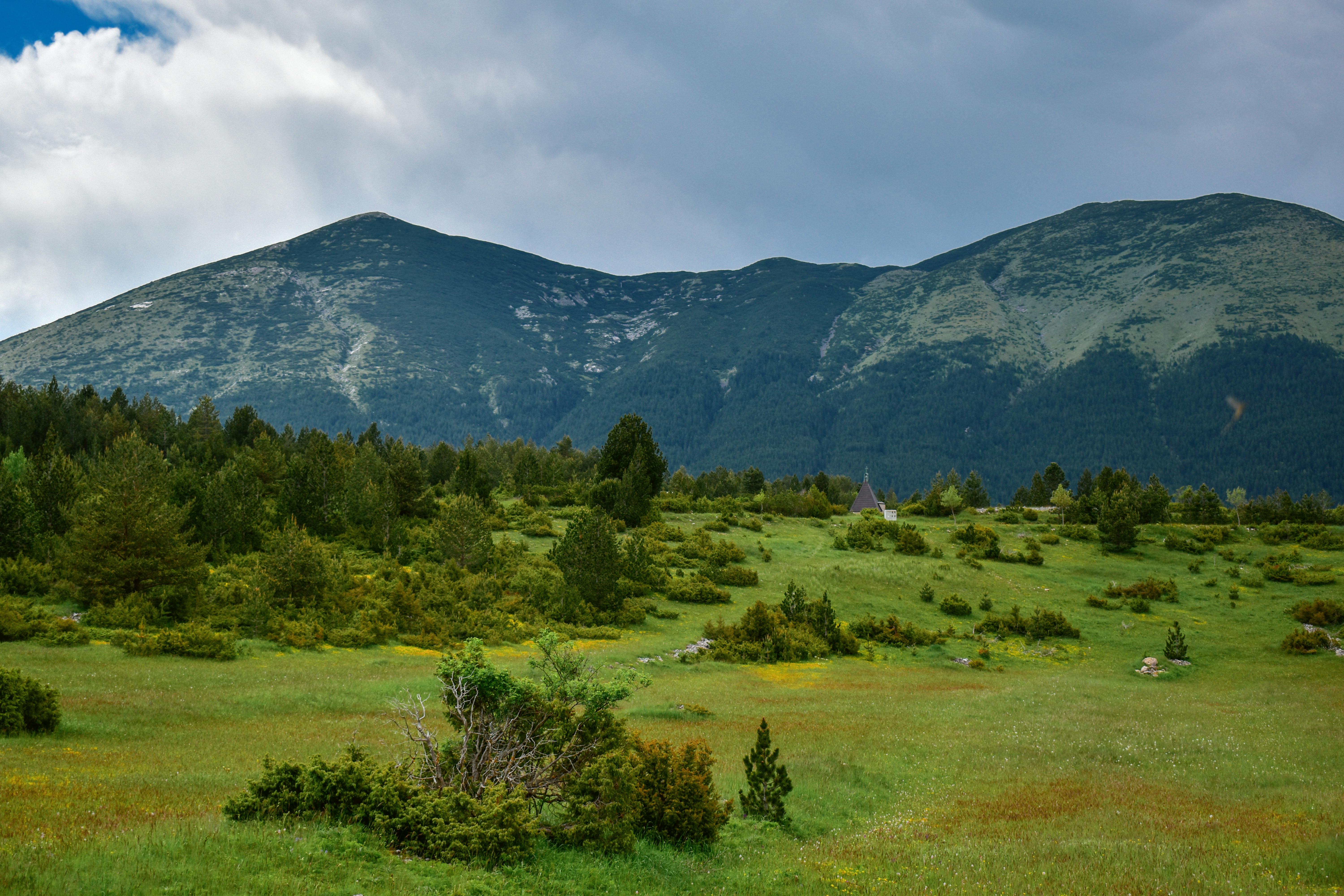 Free stock photo of cropland, daylight, grass, grassland, hayfield, hill, landscape images