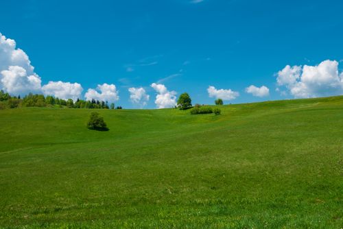 Free Sunny green grassland in Pale, Bosnia, with blue sky and white clouds. Stock Photo