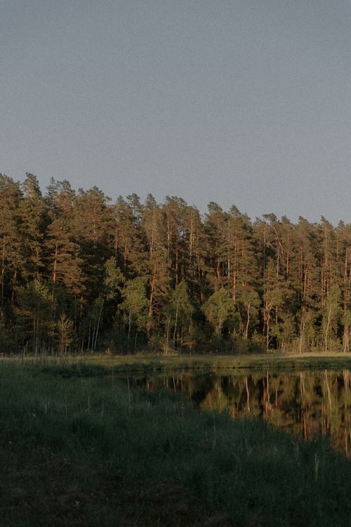 Free Peaceful forest landscape with a serene lake reflection at sunset, capturing nature's tranquility. Stock Photo