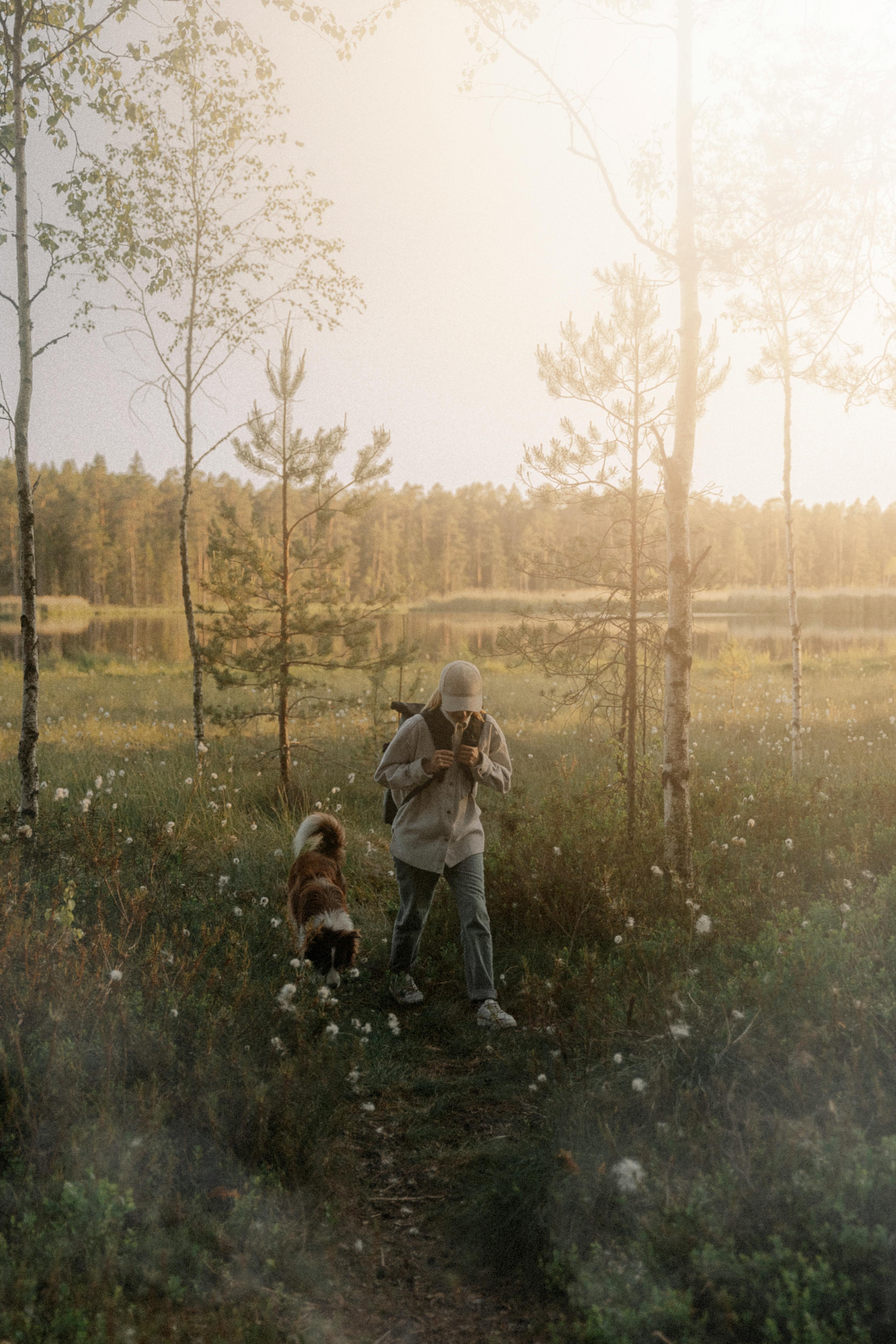 A woman and her dog hiking through a tranquil forest trail during sunset, showcasing adventure and nature.