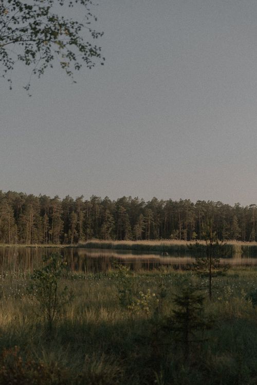 Free Peaceful landscape showing a tranquil forest and lake reflecting clear summer skies. Stock Photo