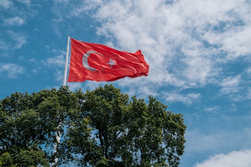 Turkish Flag behind Tree