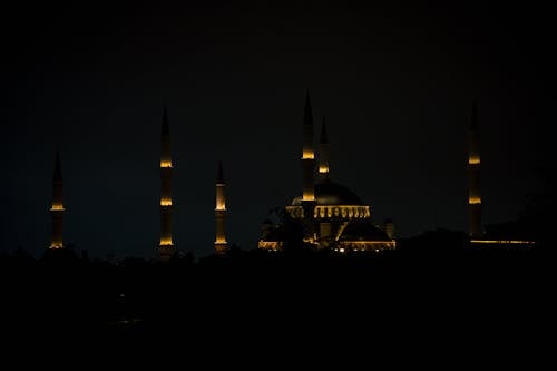 Illuminated Mosque at Night