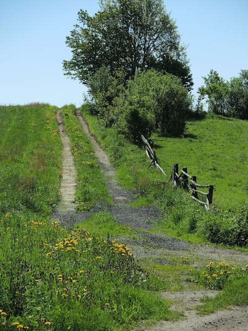 Fotobanka s bezplatnými fotkami na tému chodník, chôdza, dedinský