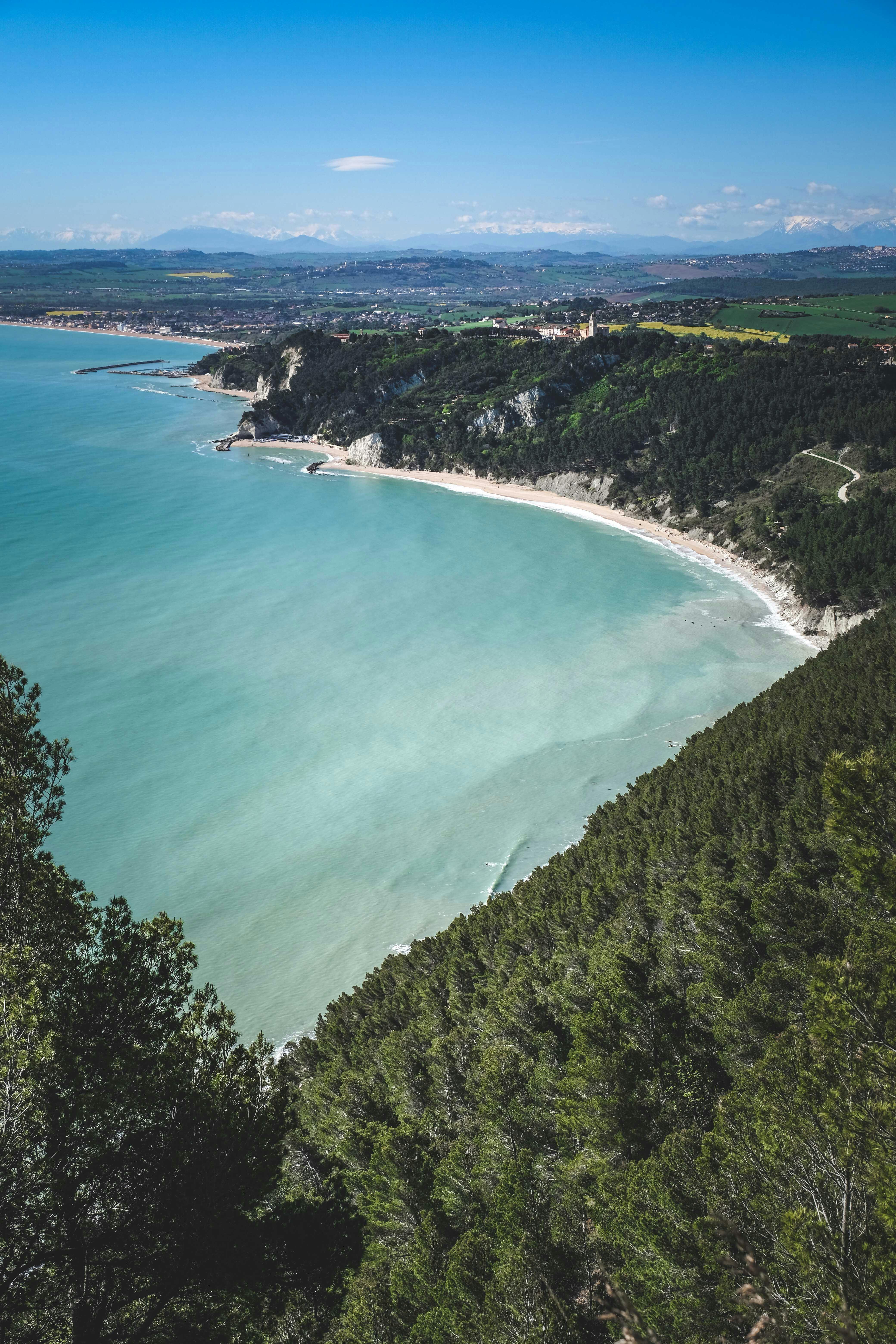 bat removal Pasadena