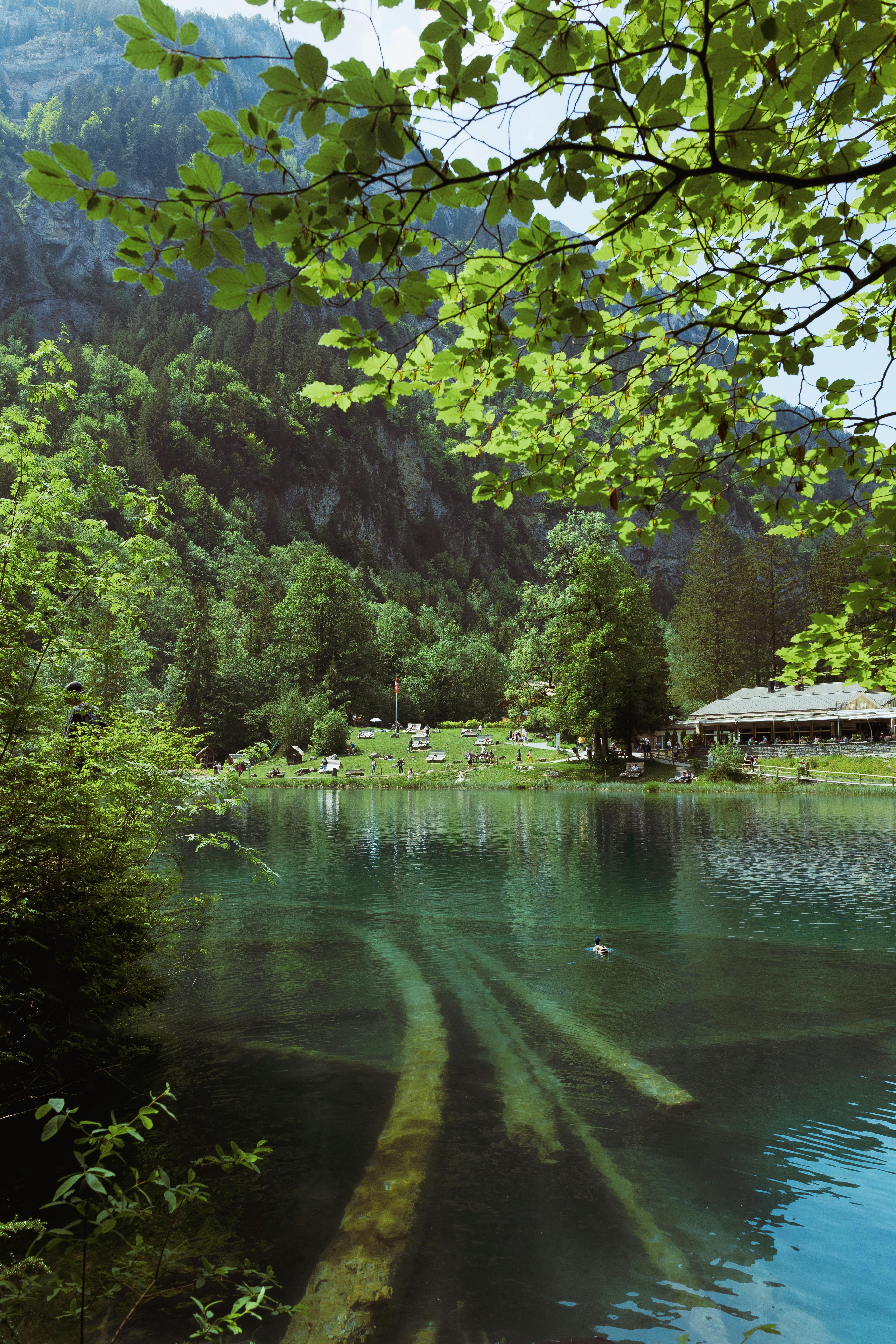 Explore the tranquil beauty of Blausee Lake surrounded by lush greenery and mountains in Switzerland.