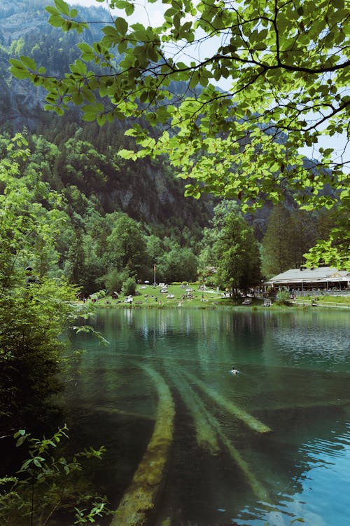 Free View of the Blausee in Bernese Oberland, Kandergrund, Switzerland Stock Photo