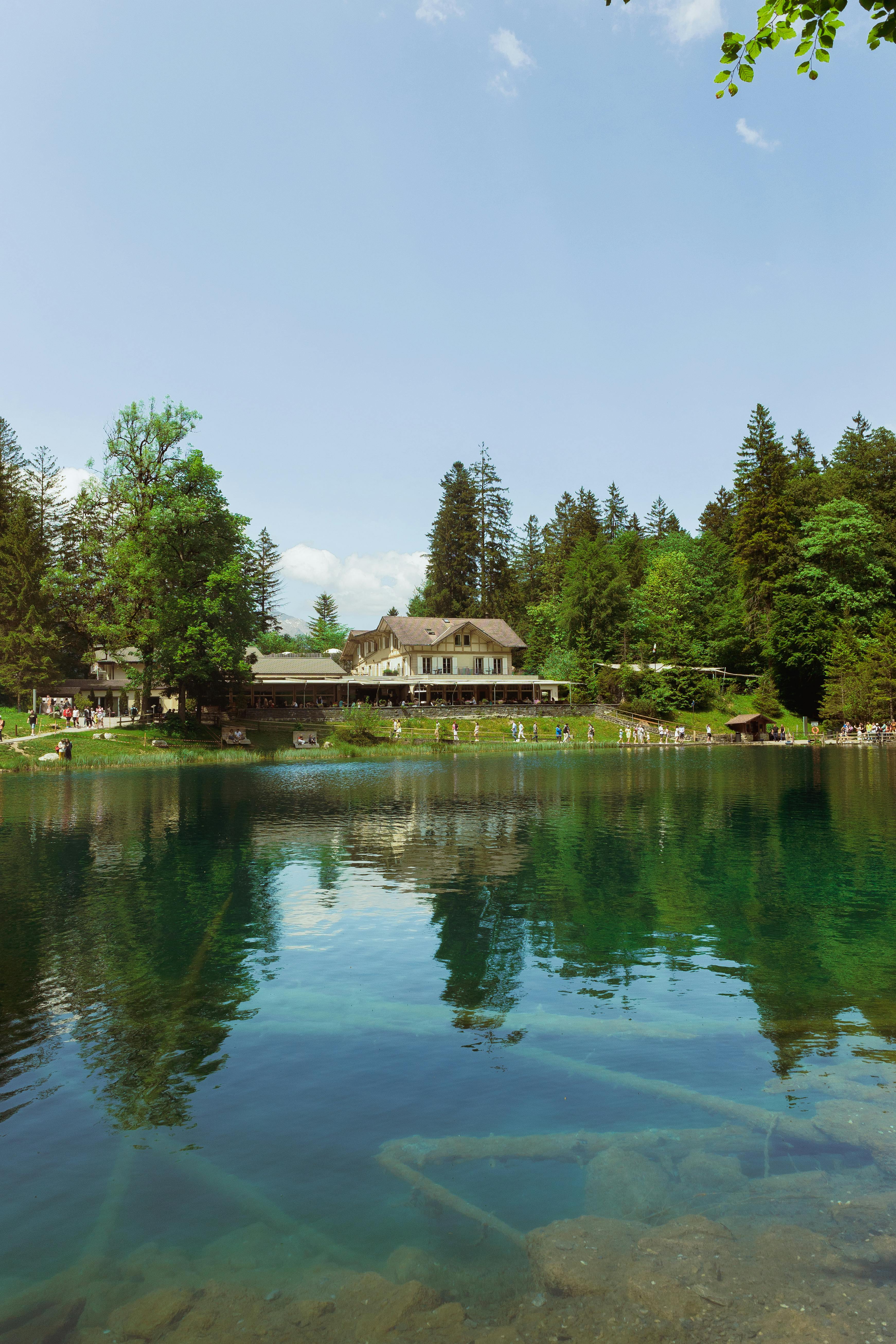 Tranquil summer view of Blausee Lake in the Bernese Oberland, Switzerland with lush trees and reflections.