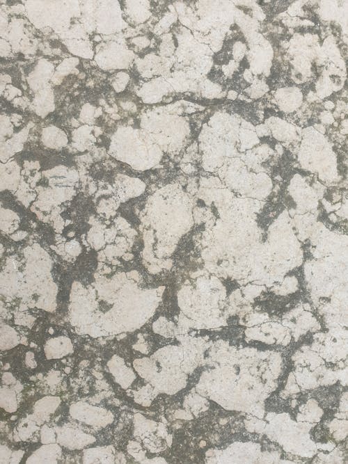 Gray and White Stone Surface