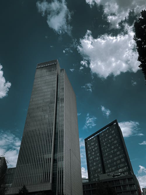 Low Angle Shot of Skyscrapers in City 