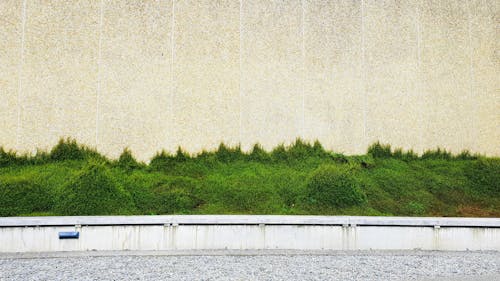 Free stock photo of bench, bush, city