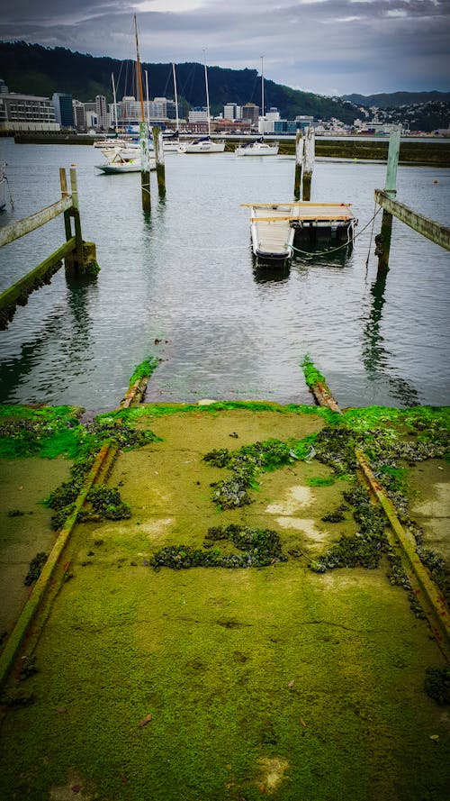 Free stock photo of berth, boats, dated