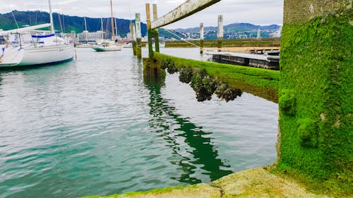 Free stock photo of berth, boats, dated