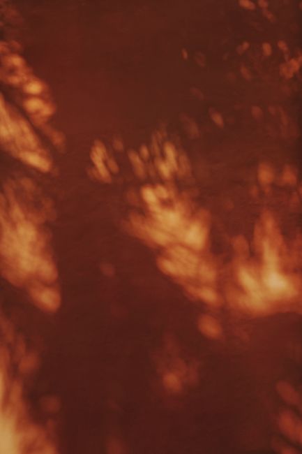 Abstract reddish shadows and textures create a dramatic visual effect with warm tones.