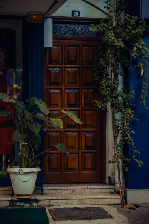 Free Stylish wooden door with green plants and urban background, perfect for home decor inspiration. Stock Photo